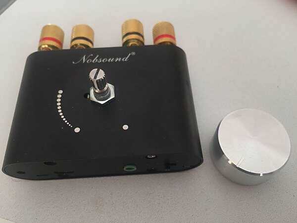 Immagini dell'amplificatore Nobsound NS01G (Douk Audio F900) smontato