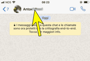 Come bloccare un numero di telefono di un contatto Whatsapp su iPhone