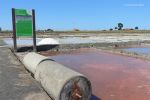 Aveiro - Le saline (as salinas)