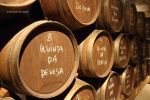 Porto - Botti di vino Porto ad invecchiare nelle cantine Augusto's