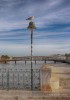 Tavira - Ponte Romana sul Rio Gilao