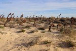 Tavira - Il cimitero delle ancore a Praia do Barril