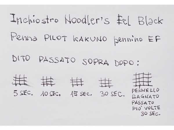 Test tempo di asciugatura e impermeabilita inchiostro penna stilografica Noodler Eel Black